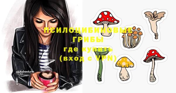 прущая мука Новодвинск