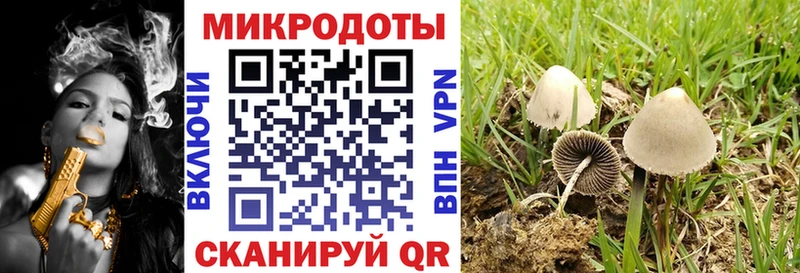 Галлюциногенные грибы Psilocybe  MEGA ONION  Ипатово 